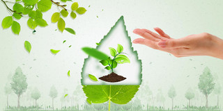 世界环境日绿色简约植树节种树保护环境植树节展板背景